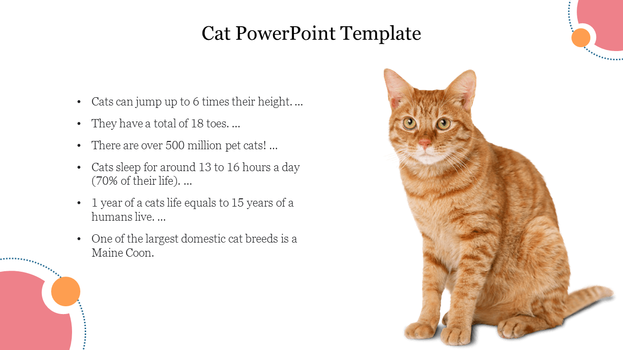 Free - Cat PowerPoint Template Free and Google Slides Presentation